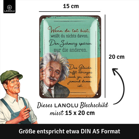 Blechschild Einstein Dummheit Spruch