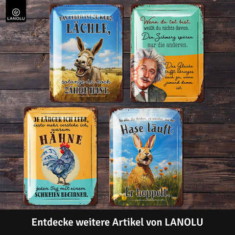 Blechschild Einstein Dummheit Spruch