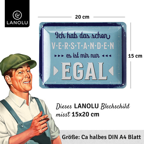 Blechschild Ich hab das schon verstanden