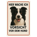 Blechschild 20x30cm – Hier wache ich Vorsicht vor dem Hund Border Collie