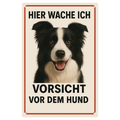 Blechschild Border Collie