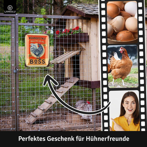 Blechschild Hühnerstall Boss