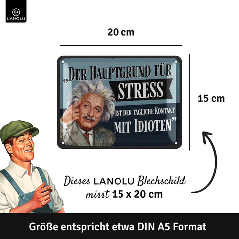 Blechschild Einstein Hauptgrund für Stress