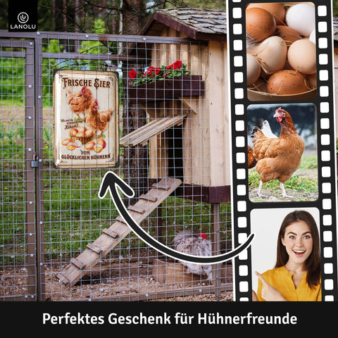 Blechschild Frische Eier Von Glücklichen Hühnern