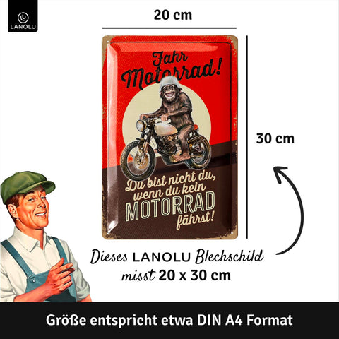 Blechschild Affe auf Motorrad