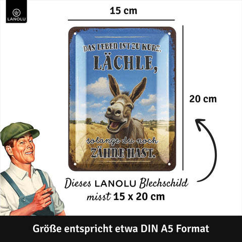 Blechschild Leben ist zu kurz. Lächle