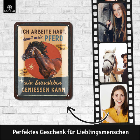 Blechschild Pferd Luxusleben