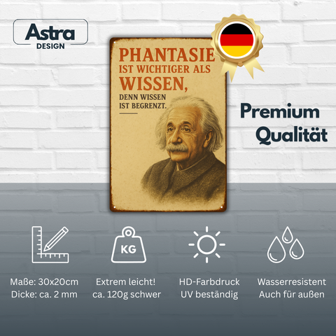 Albert Einstein Phantasie Blechschild