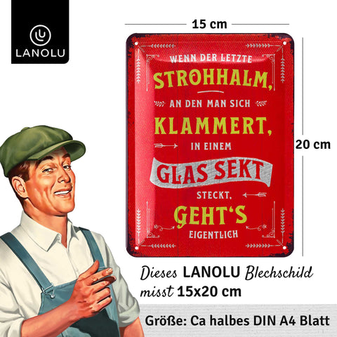 Blechschild Strohhalm Sekt Spruch