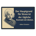 Stress Spruch Blechschild Albert Einstein - 20x30cm