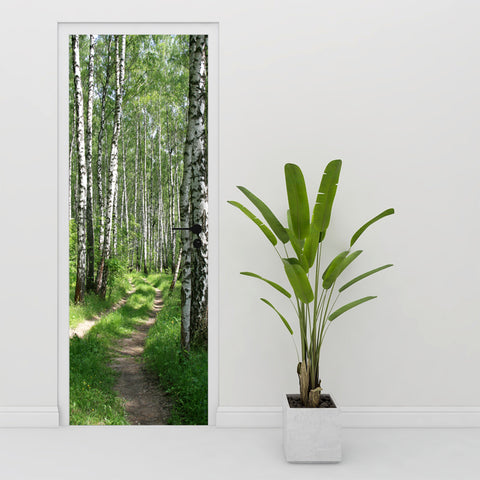 Waldweg Tür Tapete Birken