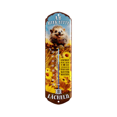 LANOLU Thermometer Ab hier bitte lächeln Igel 8x28cm