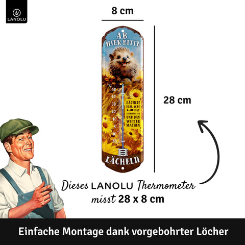 LANOLU Thermometer Ab hier bitte lächeln Igel 8x28cm