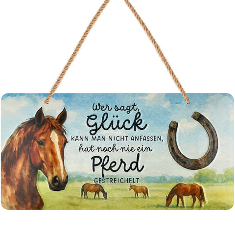 LANOLU Kordelschild Wer sagt Glück kann man nicht anfassen Pferd gestreichelt 16x32cm