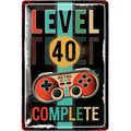LANOLU Blechschild Geburtstag JAHR LEVEL 40 20x30cm