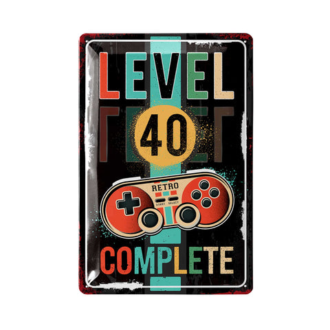 LANOLU Blechschild Geburtstag JAHR LEVEL 40 20x30cm