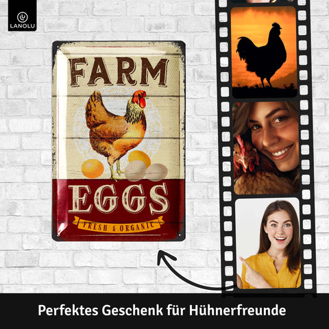 LANOLU Blechschild Farm Eggs 20x30cm