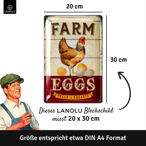 LANOLU Blechschild Farm Eggs 20x30cm