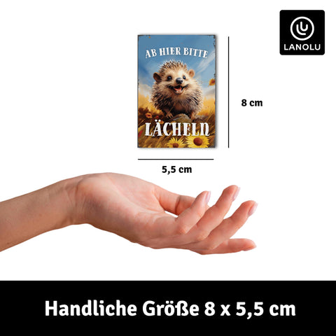 LANOLU Fotomagnet "Igel ab hier bitte lächeln" - 8 x 5,5 cm