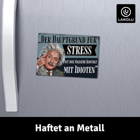 LANOLU Fotomagnet "Der Hauptgrund für Stress" - 8 x 5,5 cm
