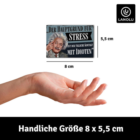 LANOLU Fotomagnet "Der Hauptgrund für Stress" - 8 x 5,5 cm