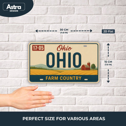 Blechschild 15x30cm – Ohio The Buckeye State Retro USA