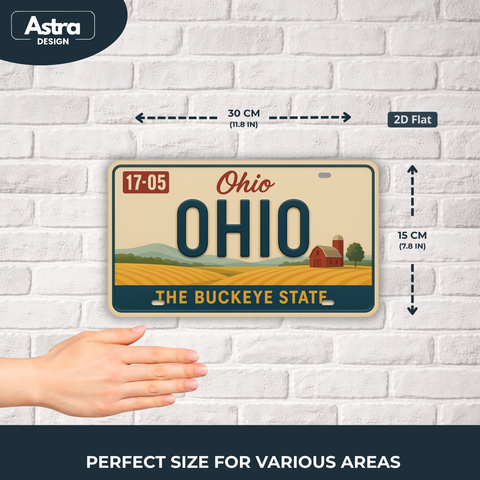 Blechschild 15x30cm – Ohio The Buckeye State Retro USA