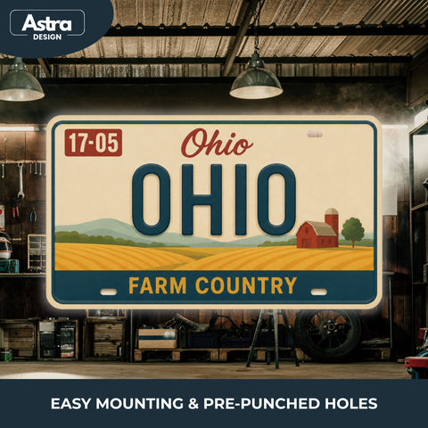 Blechschild 15x30cm – Ohio The Buckeye State Retro USA