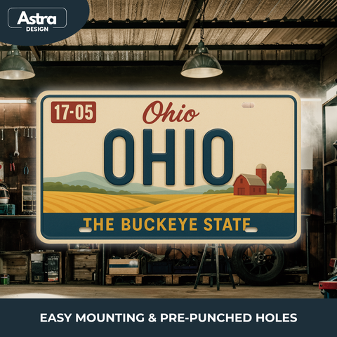 Blechschild 15x30cm – Ohio The Buckeye State Retro USA