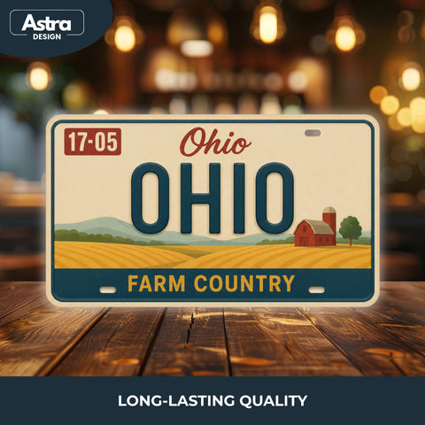 Blechschild 15x30cm – Ohio The Buckeye State Retro USA
