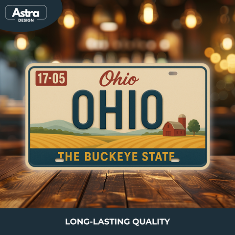 Blechschild 15x30cm – Ohio The Buckeye State Retro USA