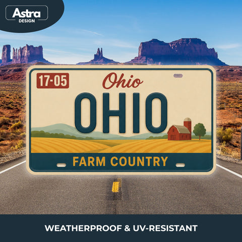 Blechschild 15x30cm – Ohio The Buckeye State Retro USA
