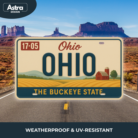 Blechschild 15x30cm – Ohio The Buckeye State Retro USA