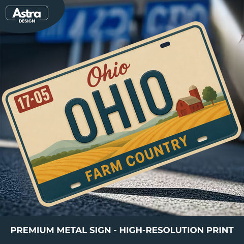 Blechschild 15x30cm – Ohio The Buckeye State Retro USA