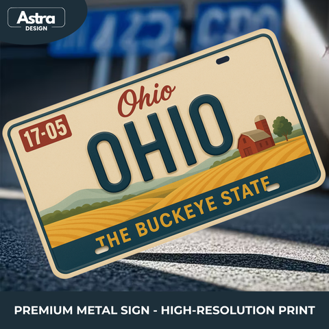 Blechschild 15x30cm – Ohio The Buckeye State Retro USA