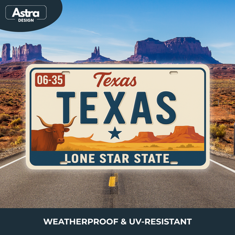 Blechschild 15x30cm – Texas Lone Star State Retro USA