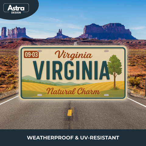 Blechschild 15x30cm – Virginia Natural Charm Retro USA
