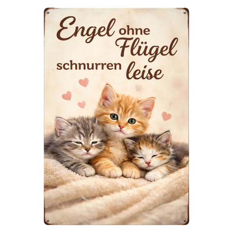 Blechschild 20x30cm – Engel ohne Flügel schnurren leise Katze Retro Deko