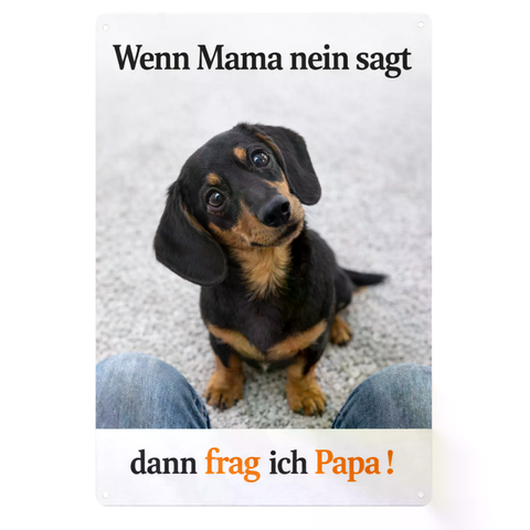Blechschild 20x30cm – Dackel Hund Spruch Frag ich Papa