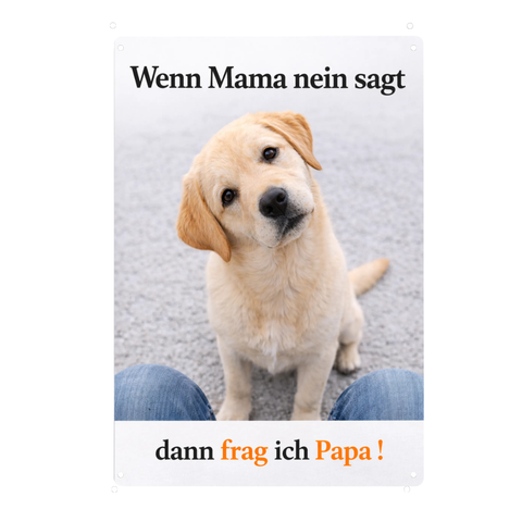 Blechschild 20x30cm – Labrador Hund Spruch Frag ich Papa