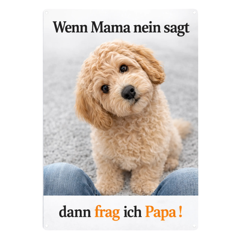 Blechschild 20x30cm – Hund Pudel Spruch Frag ich Papa