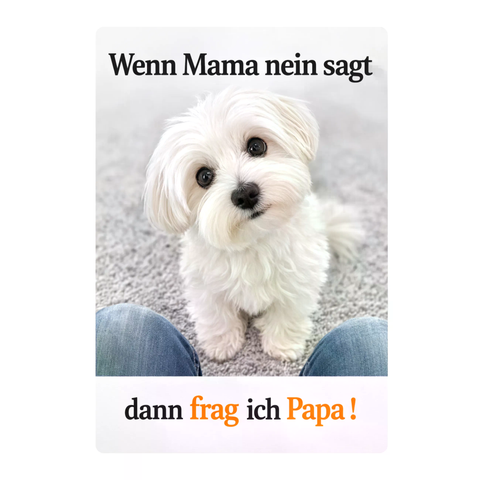 Blechschild 20x30cm – Hund Spruch Frag ich Papa Motiv