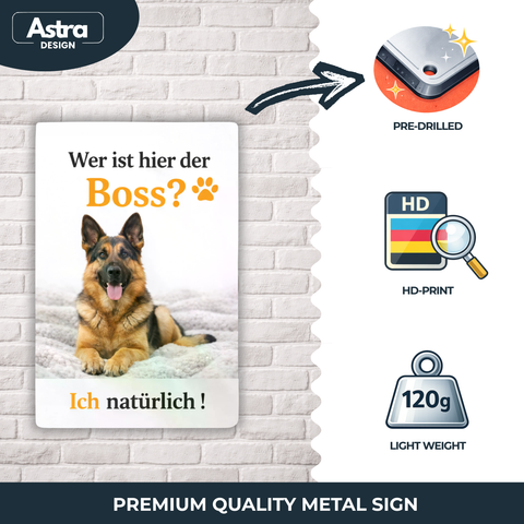 Blechschild 20x30cm – Hund Boss Spruch Motiv