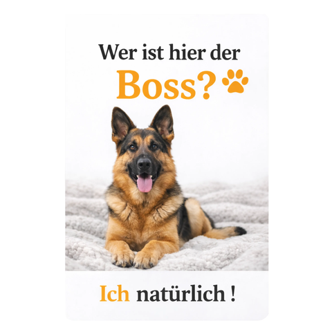 Blechschild 20x30cm – Hund Boss Spruch Motiv