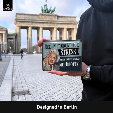 Blechschild Einstein Hauptgrund für Stress