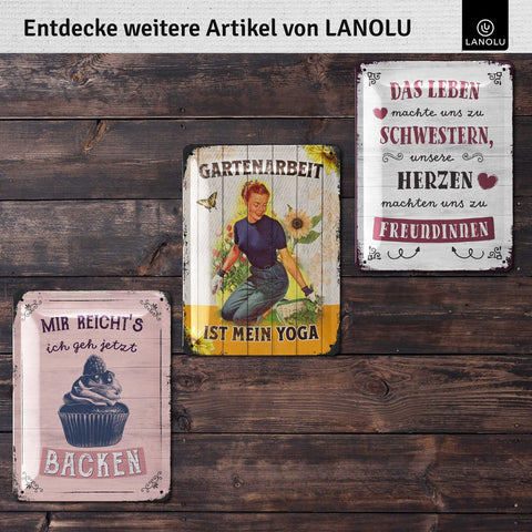 Blechschild Freundinnen sind wie Sterne