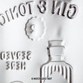 Gin Tonic Blechschild