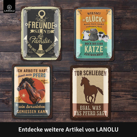 Blechschild Glück Katze streicheln