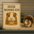 Meerschweinchen hier wohne Blechschild