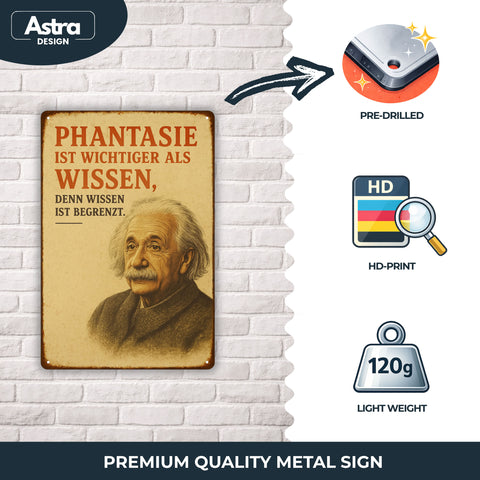 Albert Einstein Phantasie Blechschild - 20x30cm